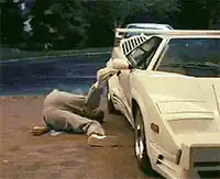 Man stuck in car door
