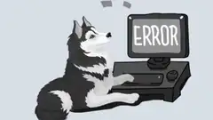 Husky and Elephant Computer Error