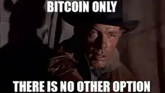 Bitcoin Only There Is No Other Option