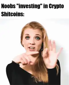 Noobs investing in crypto shitcoins