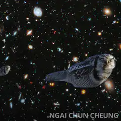 Owls and spaceship in deep space