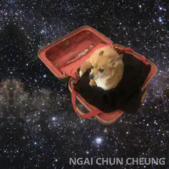 Dog in suitcase in space