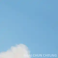 SpaceX Starship landing burn