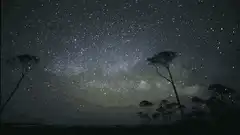 Time-lapse of the Milky Way over trees