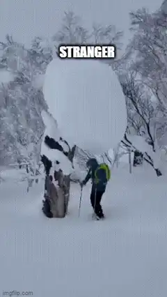 Stranger zap me snow avalanche
