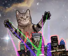 Giant cat beams over city