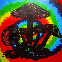 psychedelic mushrooms