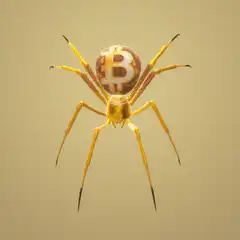 Bitcoin Spider