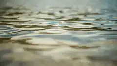Ripples on water surface