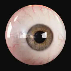 3D realistic eye looking around