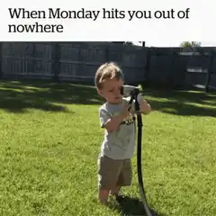 Toddler gets blasted by hose