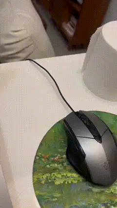 computer mouse on lily pad mousepad