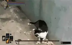 cat plays with mouse in game