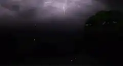 Pepe the Frog watching a lightning storm