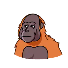 Orangutan turns red and excited