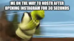 Shrek running away from Instagram