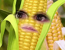 Corn with human eyes and lips