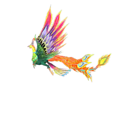 Colorful Phoenix Bird Flying