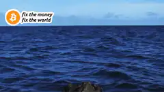 Turtle head pops up with bitcoin text