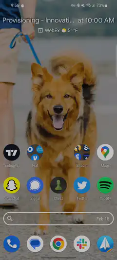 Dog wallpaper phone app drawer