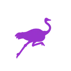 Purple ostrich running