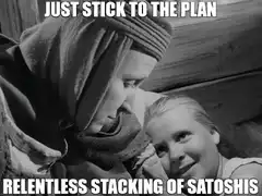 Just Stick to the Plan Relentless Stacking of Satoshis