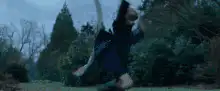 Harry Potter throws a kite