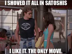 I Shoved It All In Satoshis