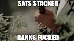 Sats Stacked Banks Fucked