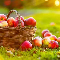 basket of red apples on grass