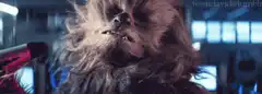 Chewbacca getting his hair blown by a hairdryer