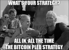 What's Your Strategy Bitcoin Pleb