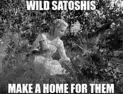Wild Satoshis Make A Home For Them