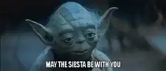 Yoda May the Siesta Be With You