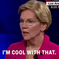 Elizabeth Warren I'm Cool With That