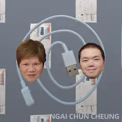 Rotating USB cable with two faces