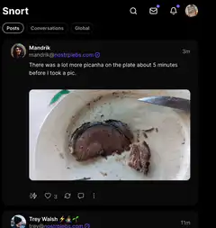 Snort social media feed scrolling