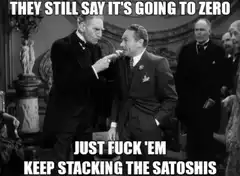 They Still Say It's Going To Zero Just Fuck 'Em Keep Stacking The Satoshis