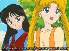 Usagi asks about personal computer network