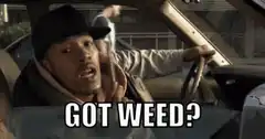 Got Weed? meme