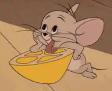 Jerry eating lemon