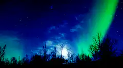 Aurora Borealis over silhouetted trees