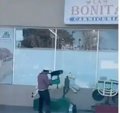 Man rides coin-operated horse with dog