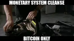 Monetary System Cleanse Bitcoin Only