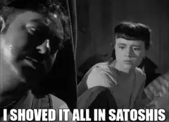 I Shoved It All In Satoshi's