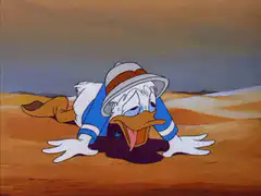 Donald Duck exhausted in desert