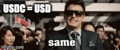 USDC equals USD same but different