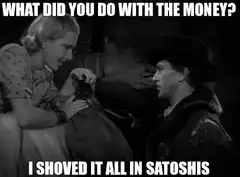 What did you do with the money? I shoved it all in satoshis