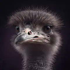 Ostrich laser eyes