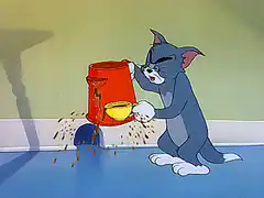 Tom pouring coffee into a cup